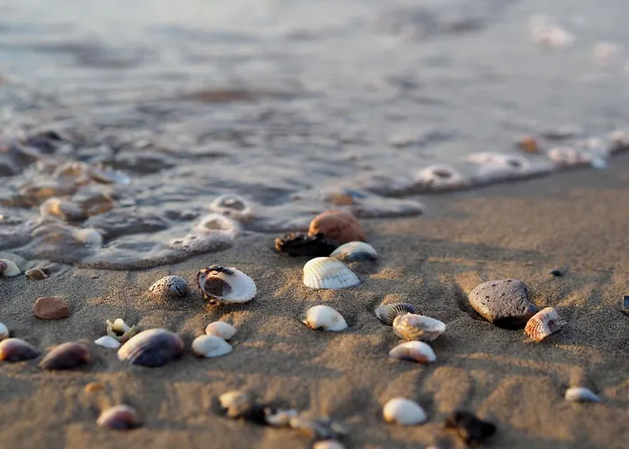 Coastal Flat With Balcony * Bibione